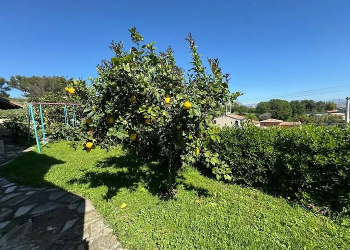 Bas De Provencale 2 Pieces Avec Jardin * Villeneuve-Loubet