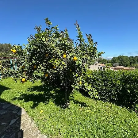 Bas De Provencale 2 Pieces Avec Jardin * Villeneuve-Loubet