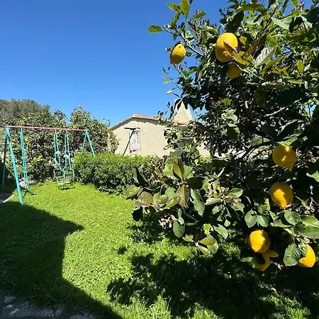 Bas De Provencale 2 Pieces Avec Jardin *